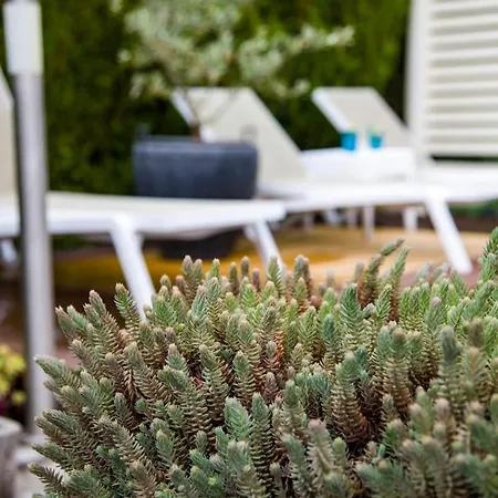 Riverside Pearl House By The River And Swimming Pool * Blagaj