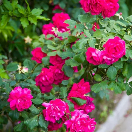 Riverside Pearl House By The River And Swimming Pool Blagaj