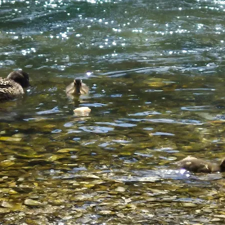 Riverside Pearl House By The River And Swimming Pool *