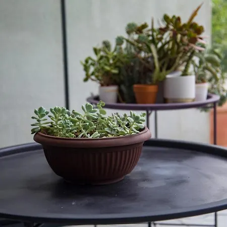 Riverside Pearl House By The River And Swimming Pool Villa