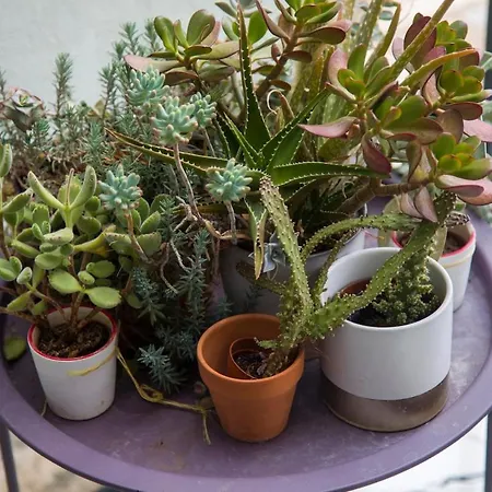 Villa Riverside Pearl House By The River And Swimming Pool