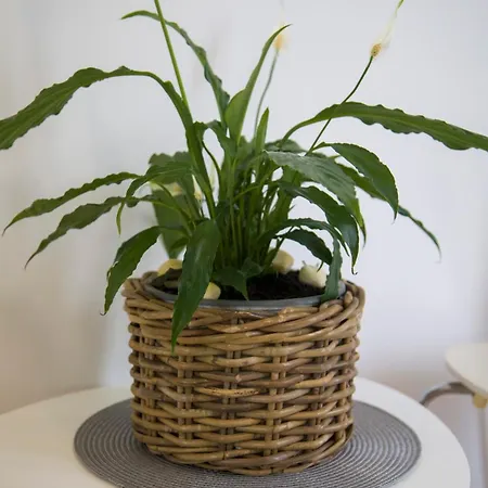 Villa Riverside Pearl House By The River And Swimming Pool *