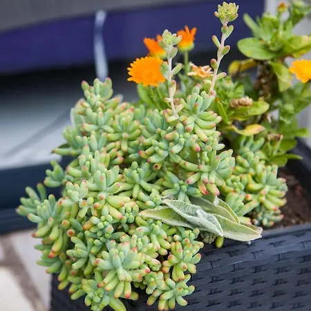 Villa Riverside Pearl House By The River And Swimming Pool *