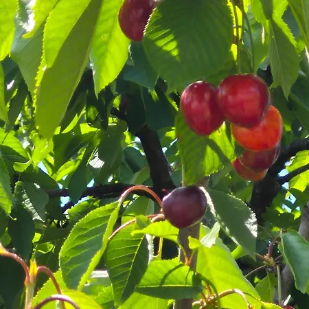 Riverside Pearl House By The River And Swimming Pool Villa