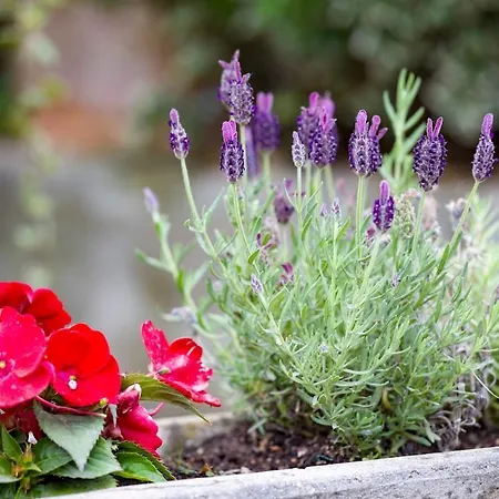 Villa Riverside Pearl House By The River And Swimming Pool