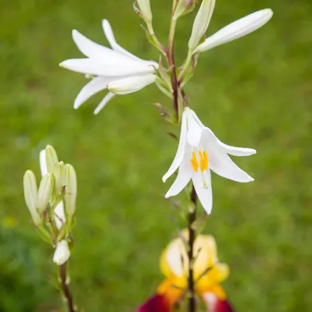 Riverside Pearl House By The River And Swimming Pool * Blagaj