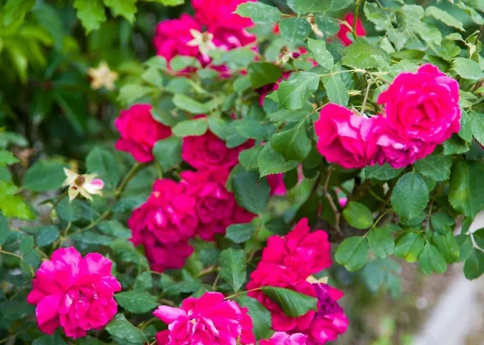 Riverside Pearl House By The River And Swimming Pool Blagaj