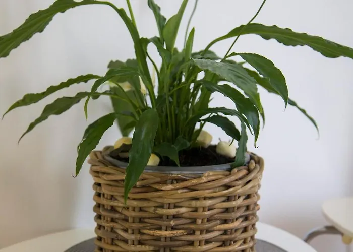 Villa Riverside Pearl House By The River And Swimming Pool *