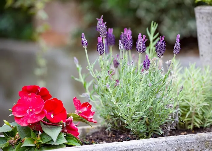 Villa Riverside Pearl House By The River And Swimming Pool